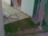 300420118325