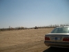 ALIM0963
