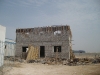 ALIM2825