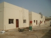 ALIM2838