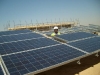 Env-ALIM0643