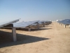 Env-ALIM0650