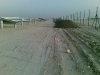 Enviromena-Road