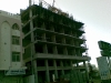 Shamsa-1