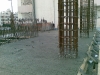 Shamsa-18-Jan-09