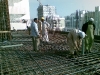Shamsa-2