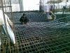 Shamsa-3