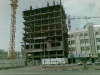 Shamsa-Elv-31-March-09